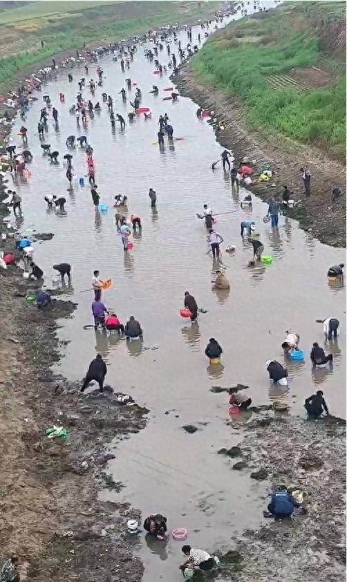 皇冠信用网代理流程
_河南浚县一处河道内众人捞金？当地辟谣：捞的是花甲皇冠信用网代理流程
，已劝离捕捞客