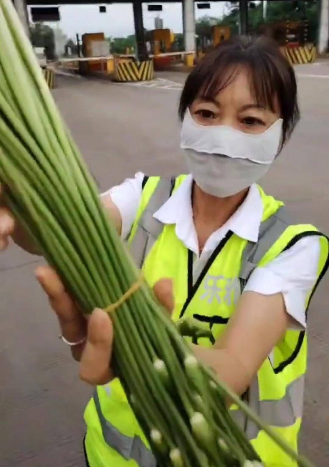 皇冠足球网
_“韭菜免收通行费韭菜薹要收费”引热议皇冠足球网
，专家呼吁：让绿通目录更“鲜活”