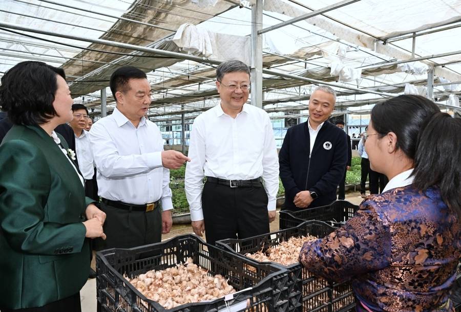 皇冠信用网结算日
_陈吉宁率上海市代表团深入西藏日喀则学习考察皇冠信用网结算日
，推动对口支援各项工作走深走实