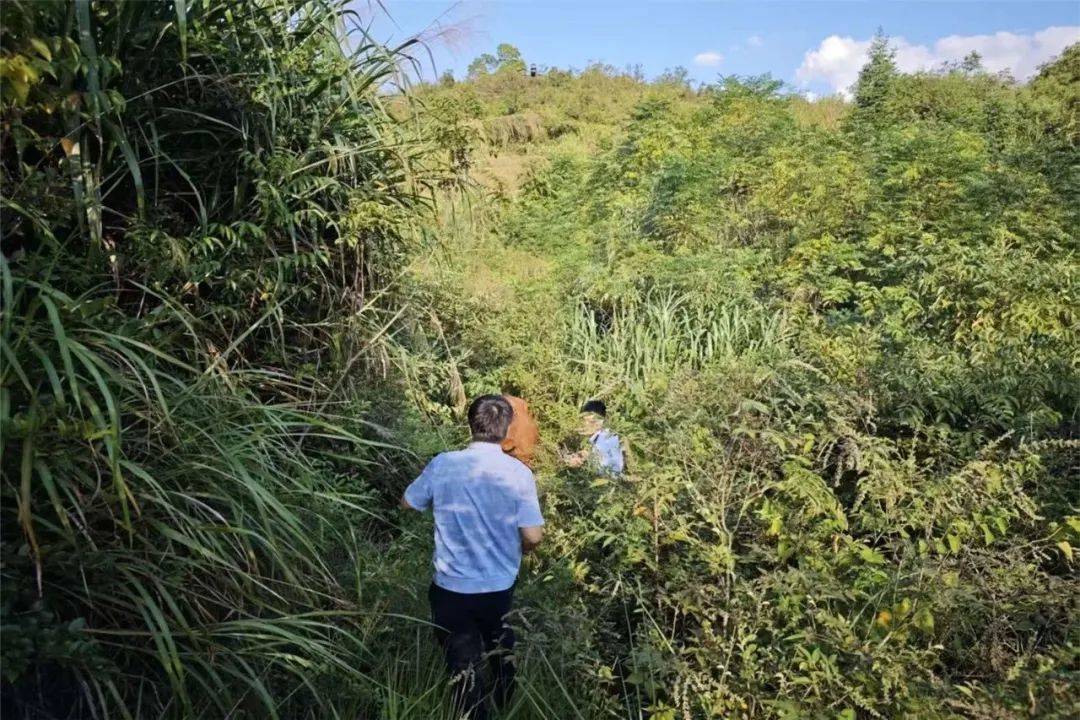 皇冠信用平台出租出售
_无人机精准锁定皇冠信用平台出租出售
，“牛”到家啦！