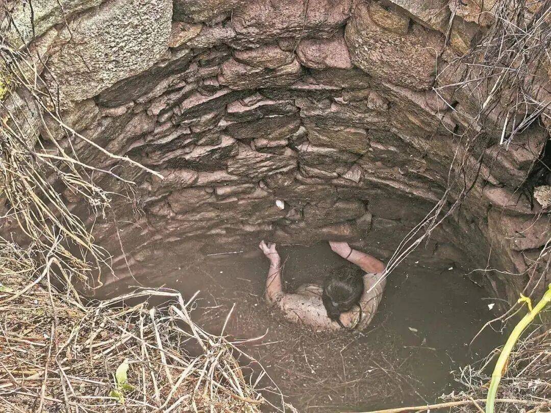 皇冠会员如何申请_多条蛇缠身皇冠会员如何申请，女子被咬了也不敢动！深井内苦撑54小时后……