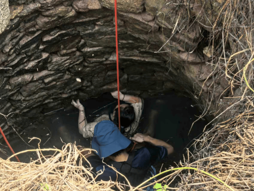 皇冠会员如何申请_多条蛇缠身皇冠会员如何申请，女子被咬了也不敢动！深井内苦撑54小时后……