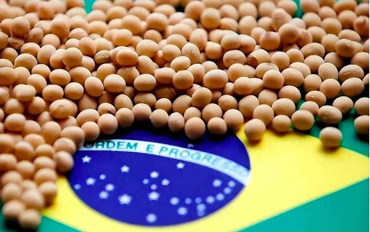 登1登2登3信用盘
_200万吨大豆烂港!巴西主动降价登1登2登3信用盘
,中国转头下单三船美国大豆,巴西自食其果了