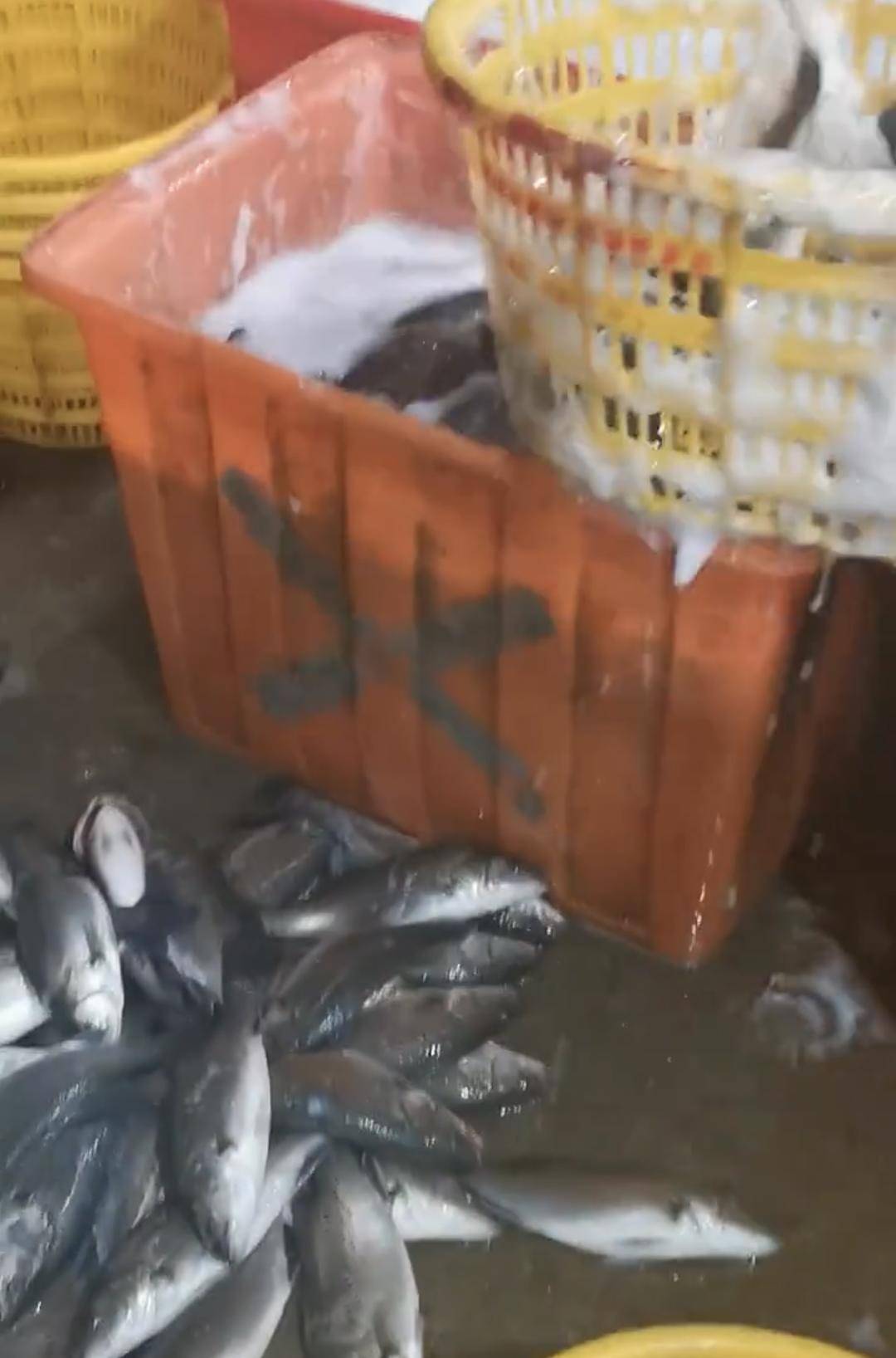 彩票信用盘出租
_水产市场“麻醉鱼”调查：有商家称麻药有味会换水再卖彩票信用盘出租
，有无危害尚不明，出台监管措施尚缺理论依据