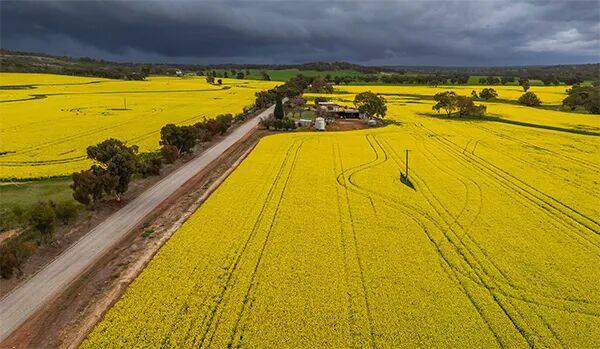 多伦多猛龙 vs 密尔沃基雄鹿
_澳大利亚给中国发货多伦多猛龙 vs 密尔沃基雄鹿
,加拿大农民急了