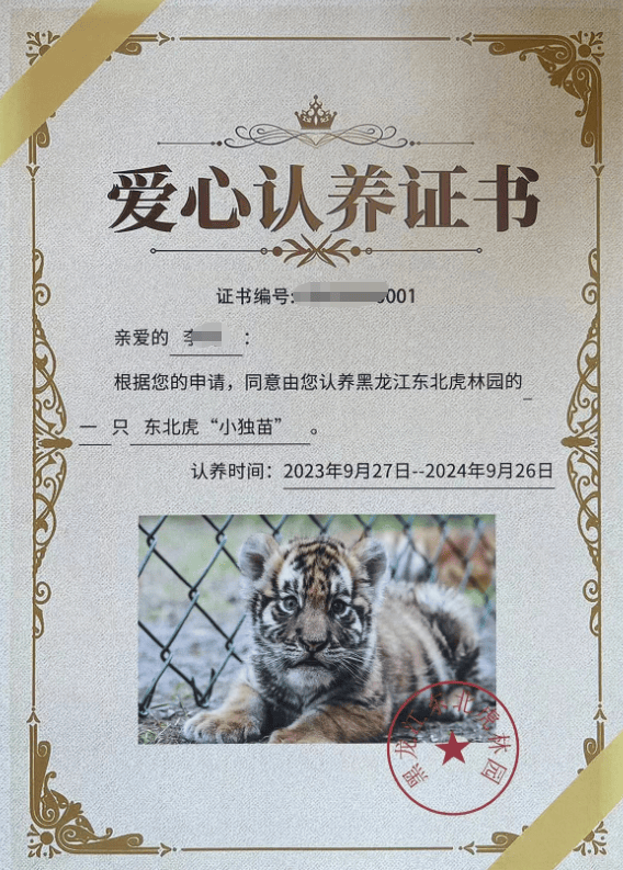 皇冠信用盘开户
_女子花2000余元认养东北虎2年却被隐瞒死讯 当事人称园方未主动反馈情况皇冠信用盘开户
,认为死因存疑