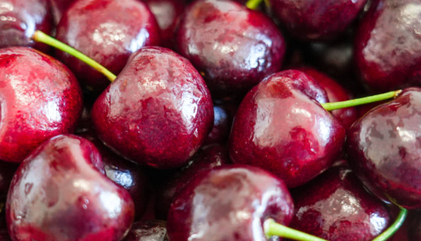 谢周三 vs 布里斯托城
_价格“大跳水”谢周三 vs 布里斯托城
!超50万吨智利车厘子将涌入中国