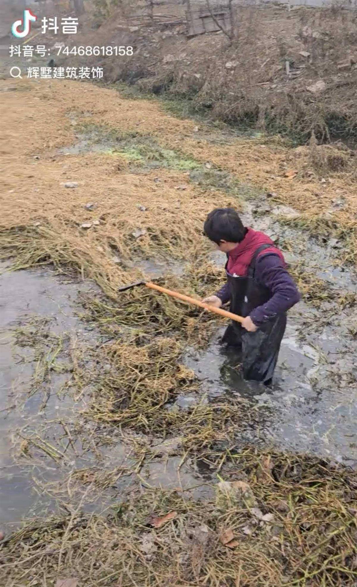 斯托克城vs西布朗
_大鹅主人抽水追凶最新进展来了:深刨半米淤泥啥也不见斯托克城vs西布朗
,或因厚草盖顶溺亡