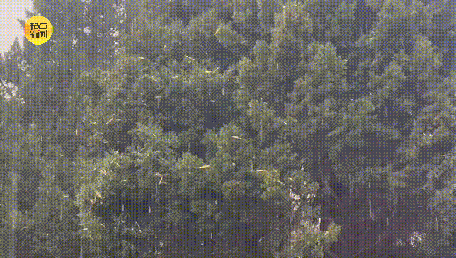 王者榮耀電競比分
_小到中雪王者榮耀電競比分
,局地大雪、暴雪!刚刚,西安发布暴雪预警!