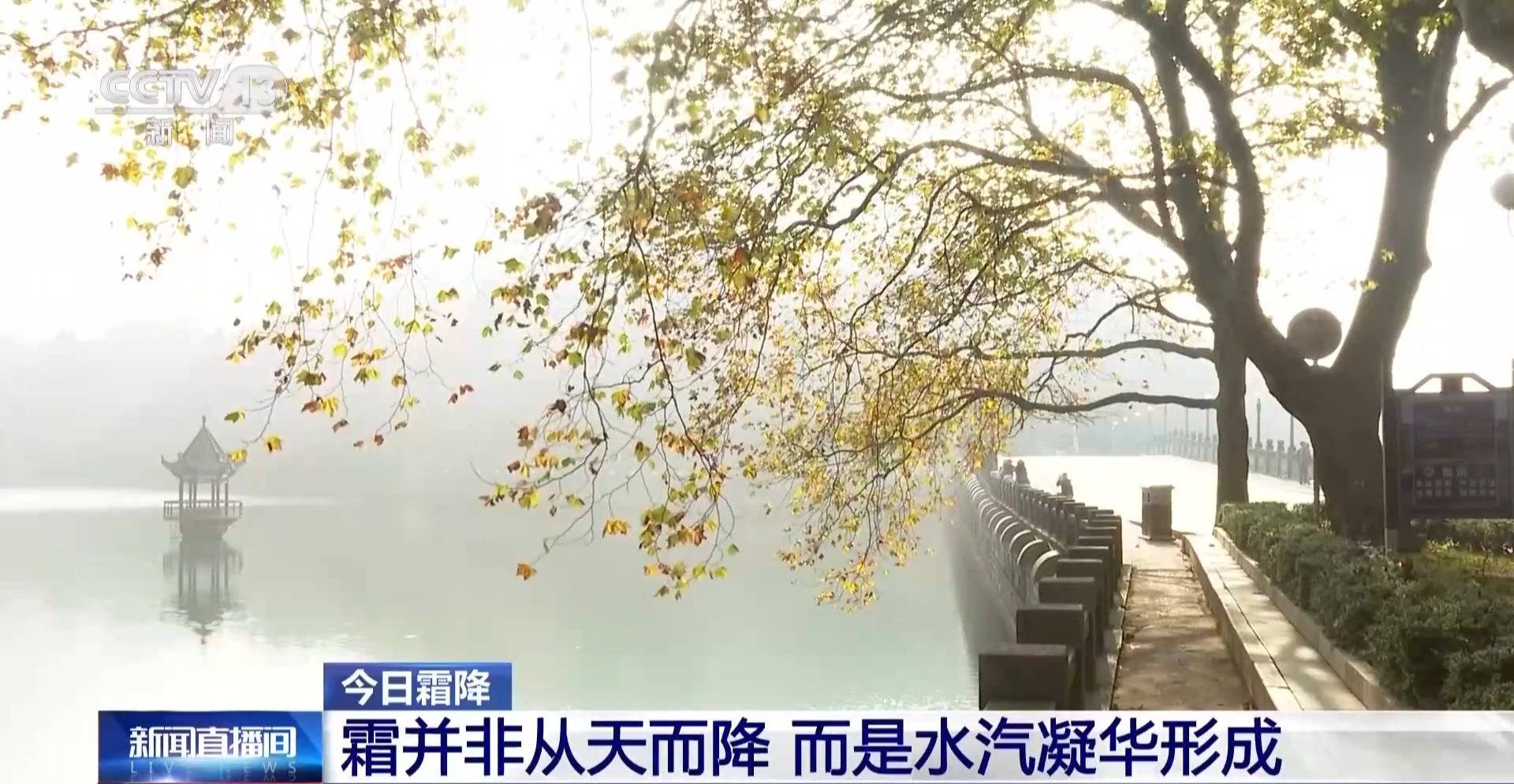 墨西哥超级联赛-特别投注
_霜降天一定会降霜吗墨西哥超级联赛-特别投注
?霜降≠降霜