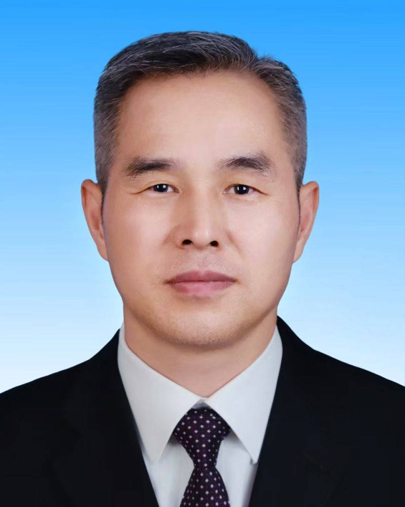 巴西乙组联赛_新一届新疆维吾尔自治区党委常委简历